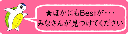 ほかにもBestが・・・みなさんが見つけてください